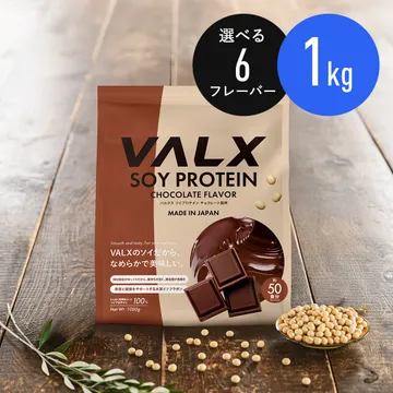 VALX VALX ソイプロテイン チョコレート風味